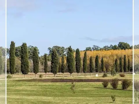 La Victoria