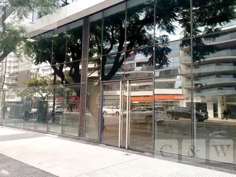 Local en Alquiler A Estrenar