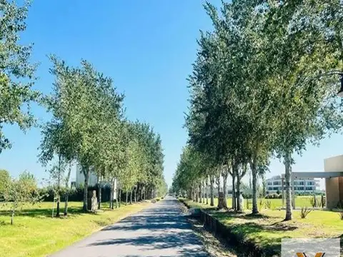 Terreno venta 20x50 mts - 1000 mts 2 totales - Haras del Sur III