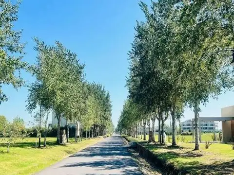 Terreno venta 20x50 mts - 1000 mts 2 totales - Haras del Sur III