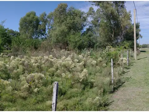 Terreno en Venta 44  mts Fondo