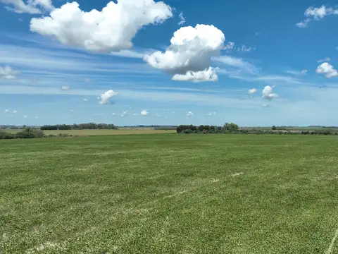 178 Has. Campo Agrícola en San Pedro
