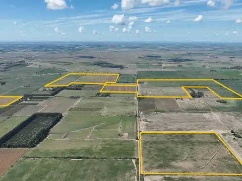 Campo en Venta de 178  ha