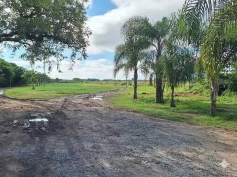 Terreno en Venta de 12360,0 m2