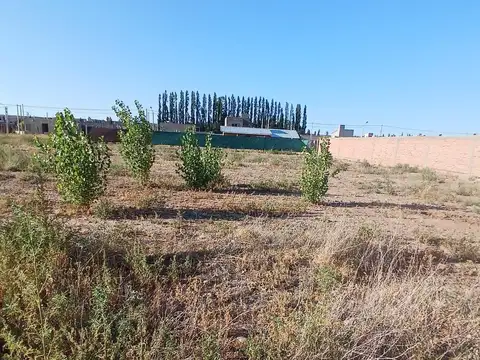 Terreno en Plottier de 300 m2 En Barrio La Casona2