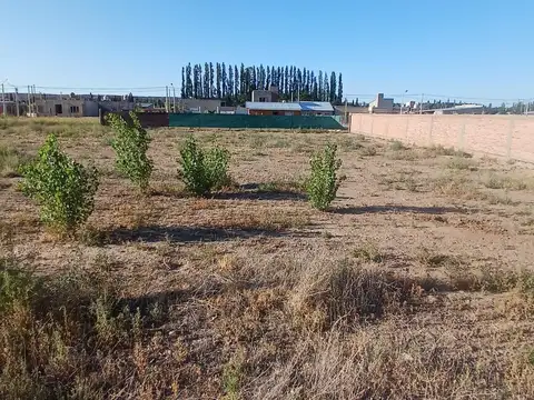 Terreno en Plottier de 300 m2 En Barrio La Casona2