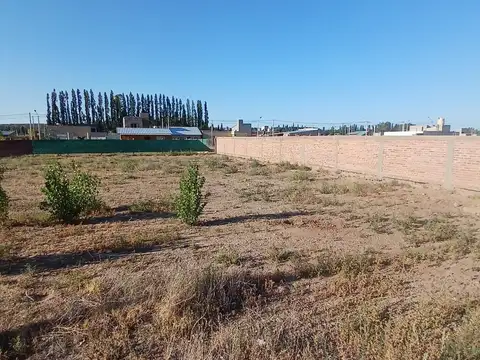 Terreno en Plottier de 300 m2 En Barrio La Casona2