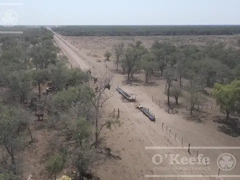 Campo en venta 4100 has.Santiago del Estero.Apto Bonos Verde