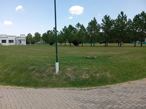 Barrio El Cardal II Ruta Provincial 6 KM 18,5