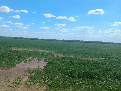 Zona Rural