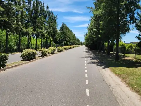 Terreno en Venta de 983,0 m2