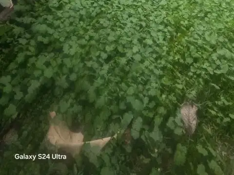 Casa en Venta en Zona Centro, USD 280.000