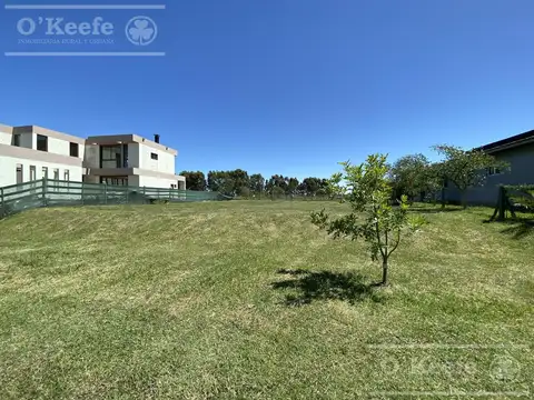 Lote interno en venta de 700 m2, ubicado en Villalobos. Financiado!