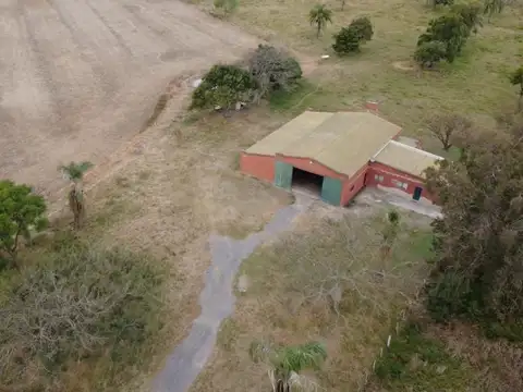 Campo en Venta en La Pelada, Las Colonias