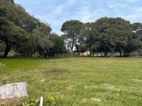 Colonia Porvenir 100