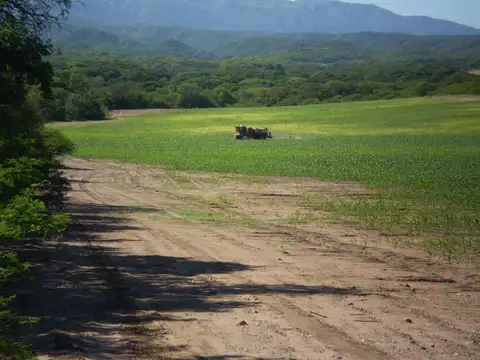 Rosario de La Frontera