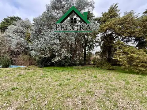 Terreno en Venta en Loma Verde, USD 120.000