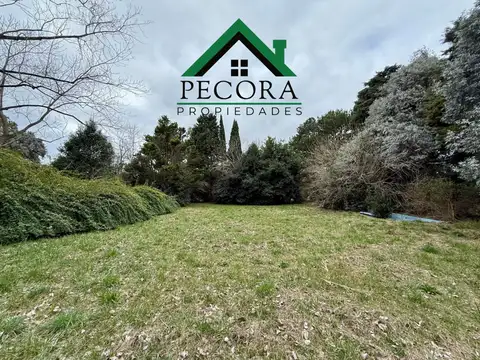 Terreno en Venta 73  mts Fondo