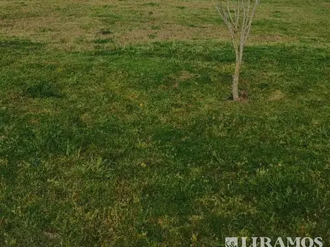 Terreno en Venta 20  mts Frente