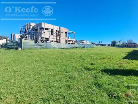 Lote Central en San Juan Chico