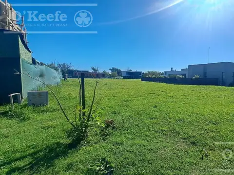 Terreno en Venta en Berazategui, USD 85.000