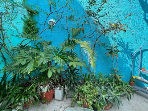 Depto Tipo Casa 2 ambientes con 1 baño