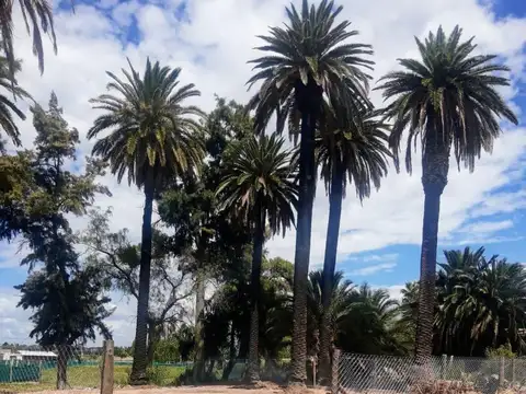 Venta Lote en Zona Club de Rugby Banco Nación