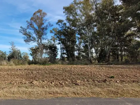 Terreno en Venta de 1640,0 m2