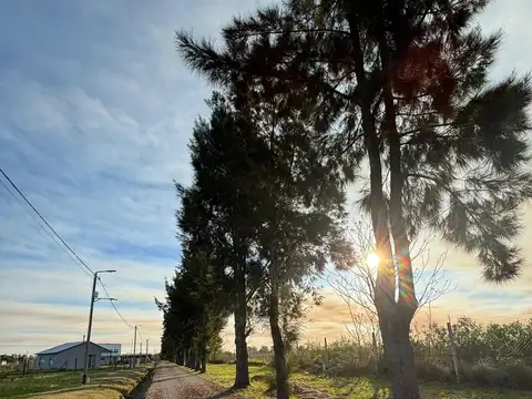 Terreno en Venta en Los Cardales, USD 23.000