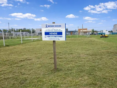 cardales chico 313