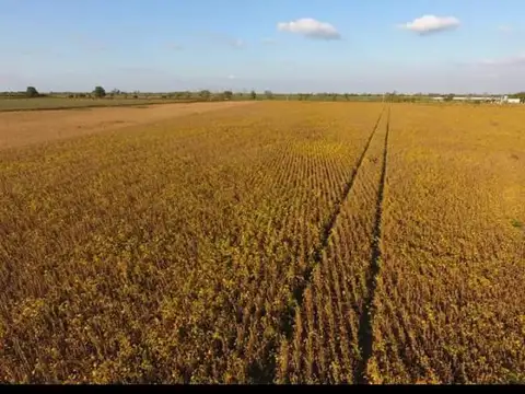 28 has agrícolas Humboldt