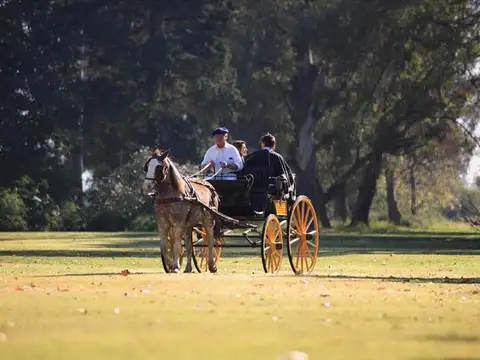 Terreno en Venta 100  mts Fondo