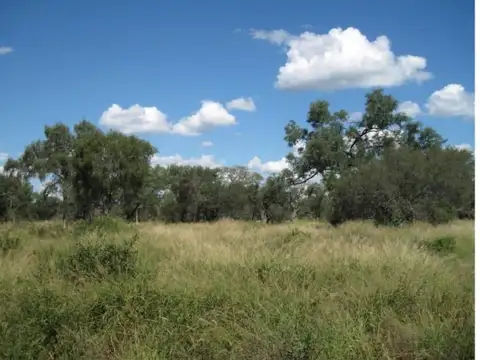 Finca 3800 ha - Oran - Salta