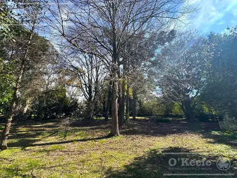 Terreno en Venta en Juan María Gutiérrez, USD 70.000