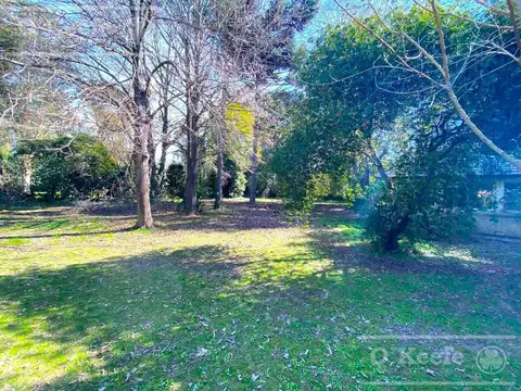 Terreno en Venta de 2025,0 m2
