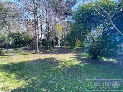 Terreno en venta de 2.000mts sobre Camino Gral. Belgrano - Gutierrez