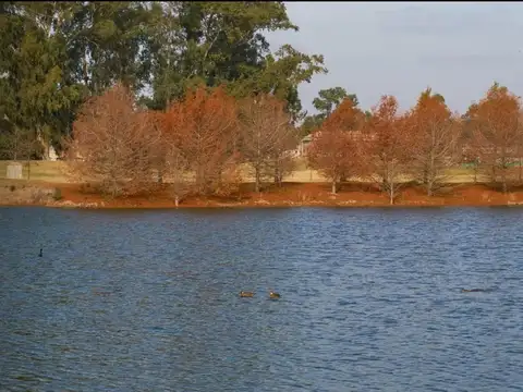 Terreno en Venta de 858,0 m2