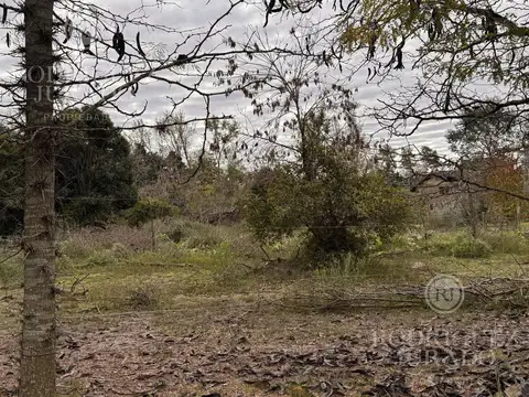 Terreno en Venta en Loma Verde, USD 130.000