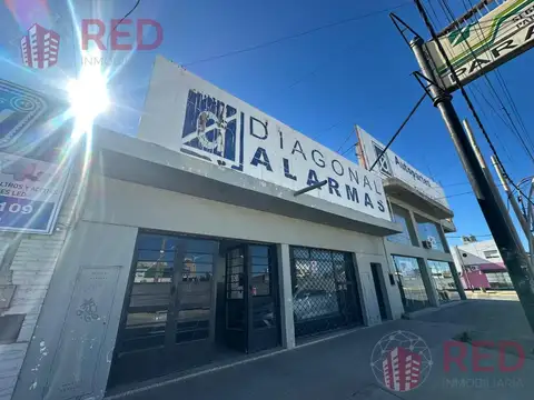 Dr Teodoro Luis Planas  al 600