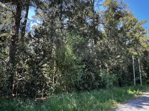 Terreno en Venta de 3985,0 m2