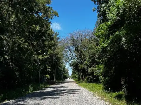 TERRENOS EN VENTA EN ALTO LOS CARDALES