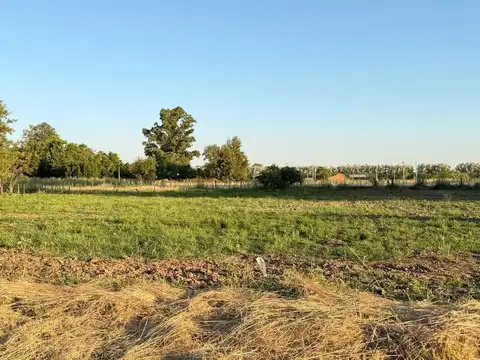 Terreno en Venta en Zapiola, USD 15.000