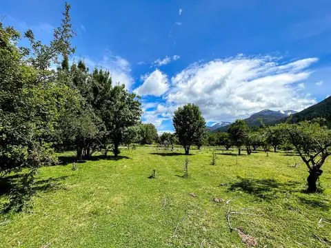 Terreno en Venta 347  mts Fondo