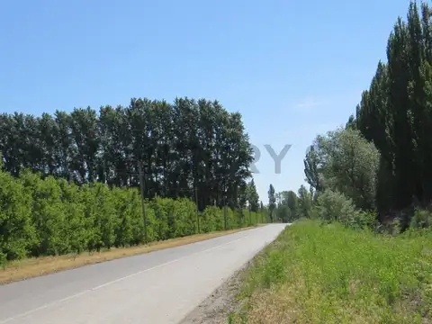 TERRENO EN BARRIO LA RUFINA I