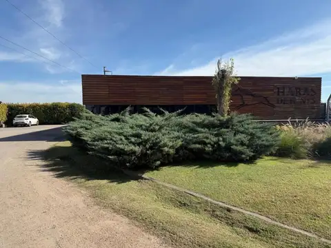 Haras De Funes