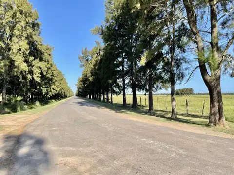 Terreno en Venta en Haras De Funes, USD 80.000