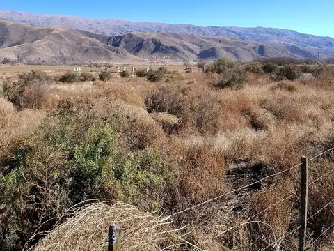 Venta terreno 3 hectarea sobre Ruta 307 Tafí del V