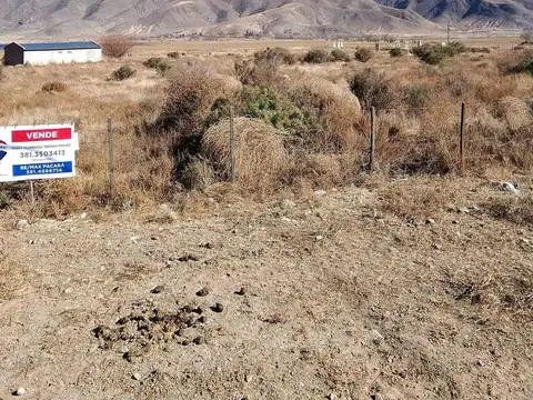 Terreno en Venta de 29961,0 m2