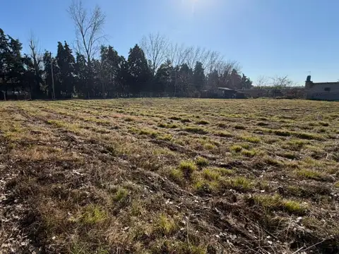 FRACCION DE 9.750 M2 - BALDIO - UBICADA EN LA LONJA - PILAR -