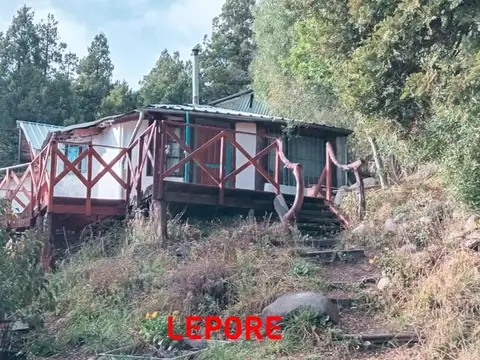 Saihueque 100